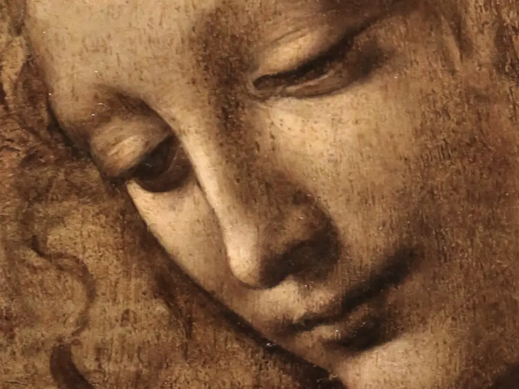 Head of a Woman Close Up Leonardo da Vinci